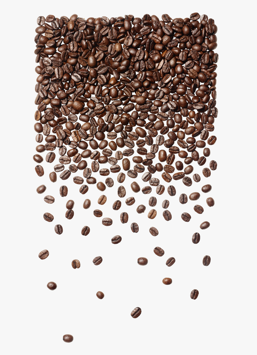 Detail Coffee Beans Transparent Background Nomer 44