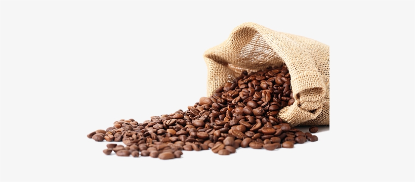 Detail Coffee Beans Transparent Background Nomer 45