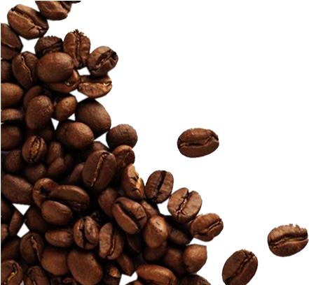 Detail Coffee Beans Transparent Background Nomer 46