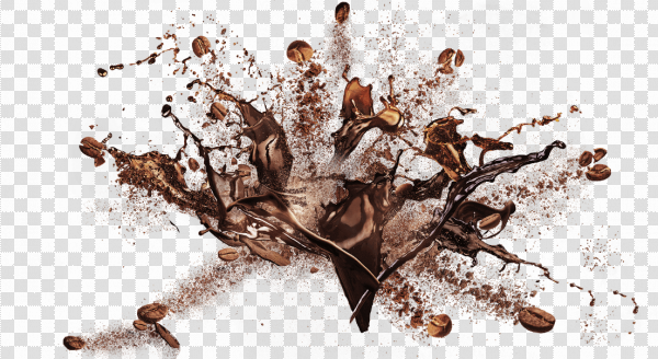 Detail Coffee Beans Transparent Background Nomer 47