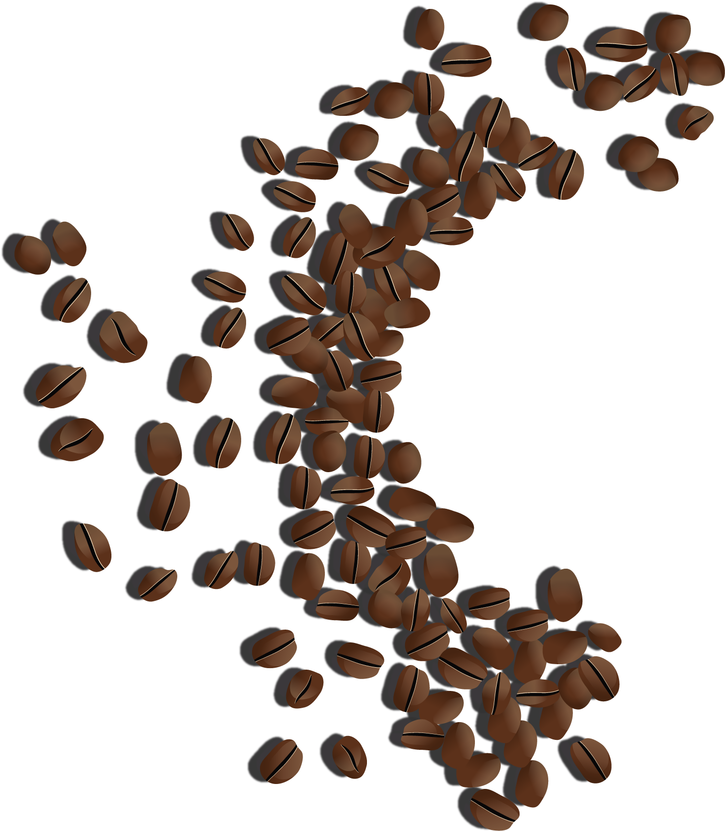 Detail Coffee Beans Transparent Background Nomer 48