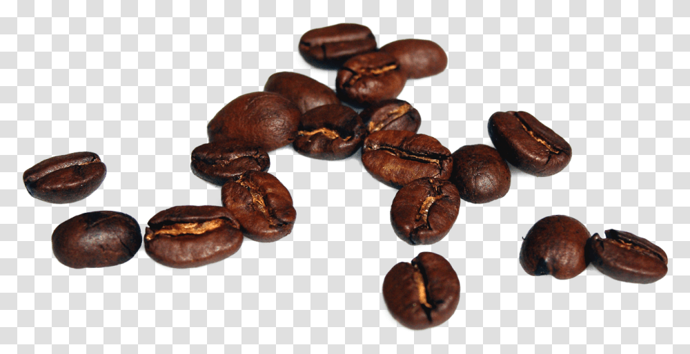 Detail Coffee Beans Transparent Background Nomer 50