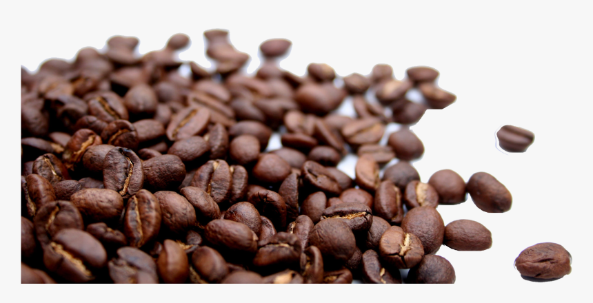 Detail Coffee Seed Png Nomer 24