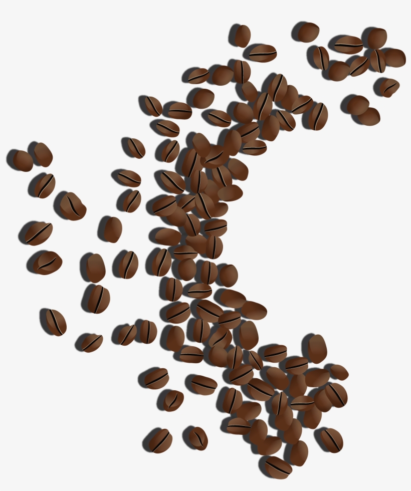 Detail Coffee Seed Png Nomer 32