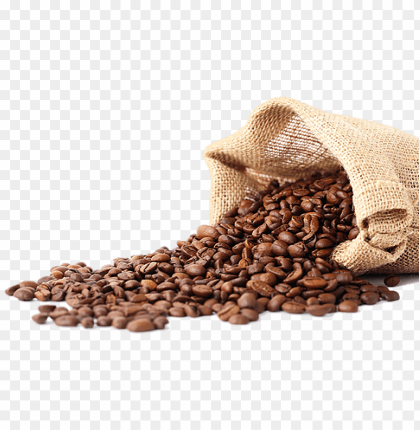 Detail Coffee Seed Png Nomer 34