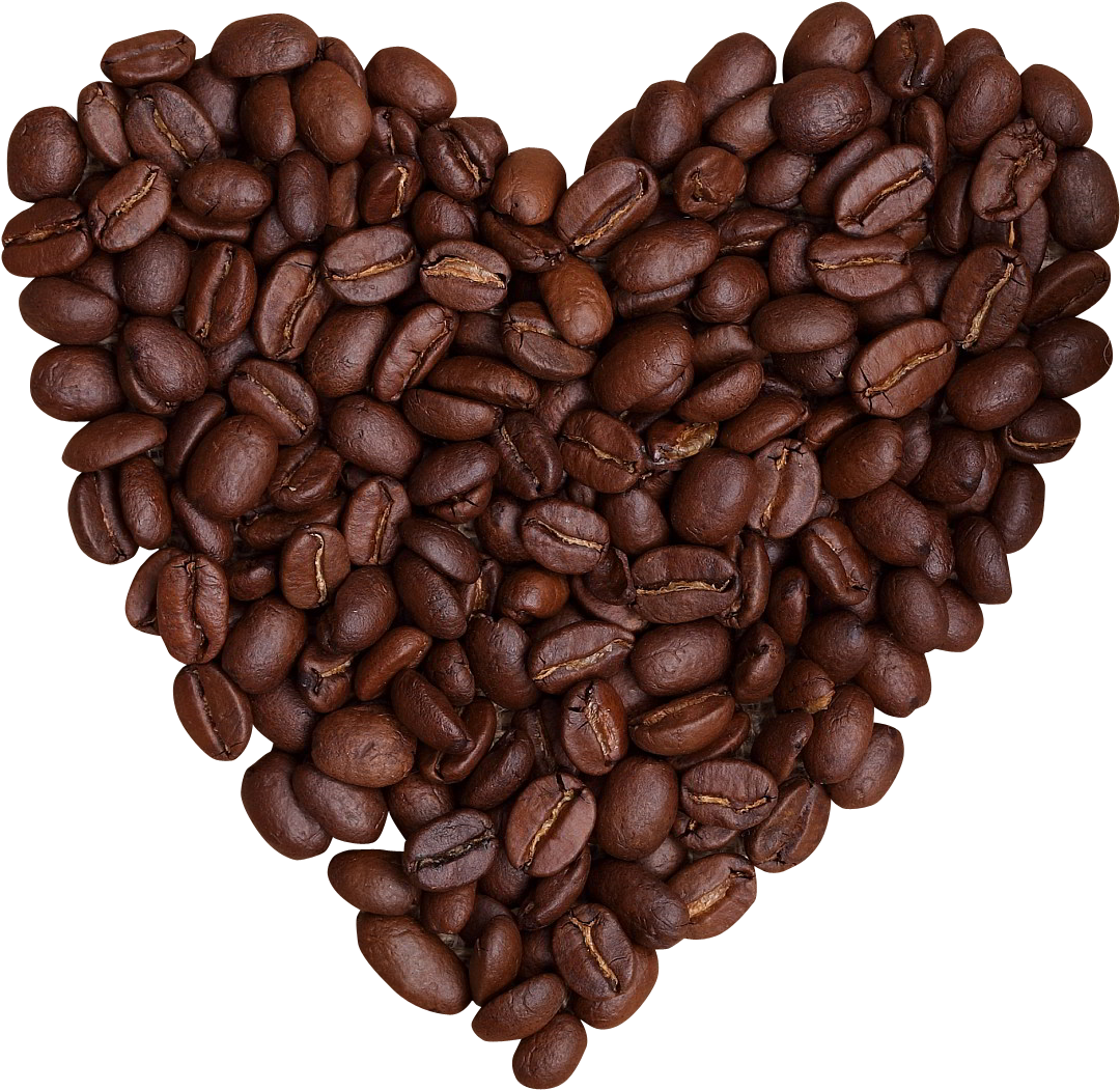 Detail Coffee Seed Png Nomer 41