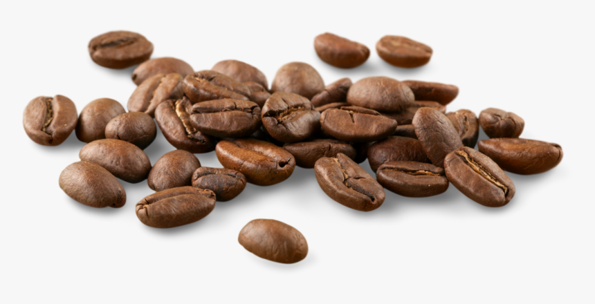 Detail Coffee Seed Png Nomer 57