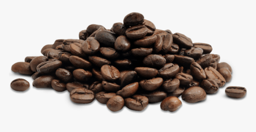 Detail Coffee Seed Png Nomer 8