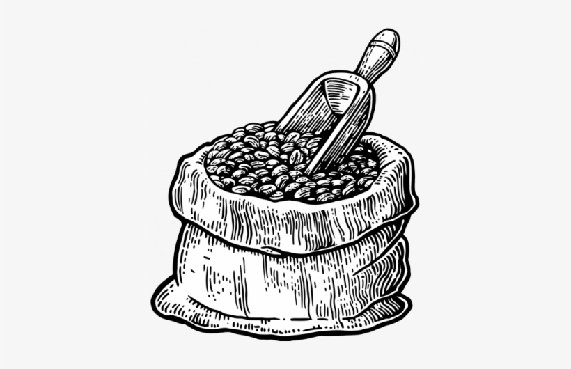 Detail Coffee Sketch Png Nomer 52