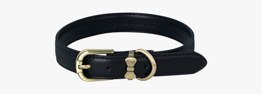 Detail Collar Transparent Nomer 10