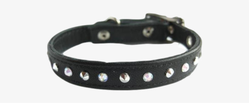 Detail Collar Transparent Nomer 13