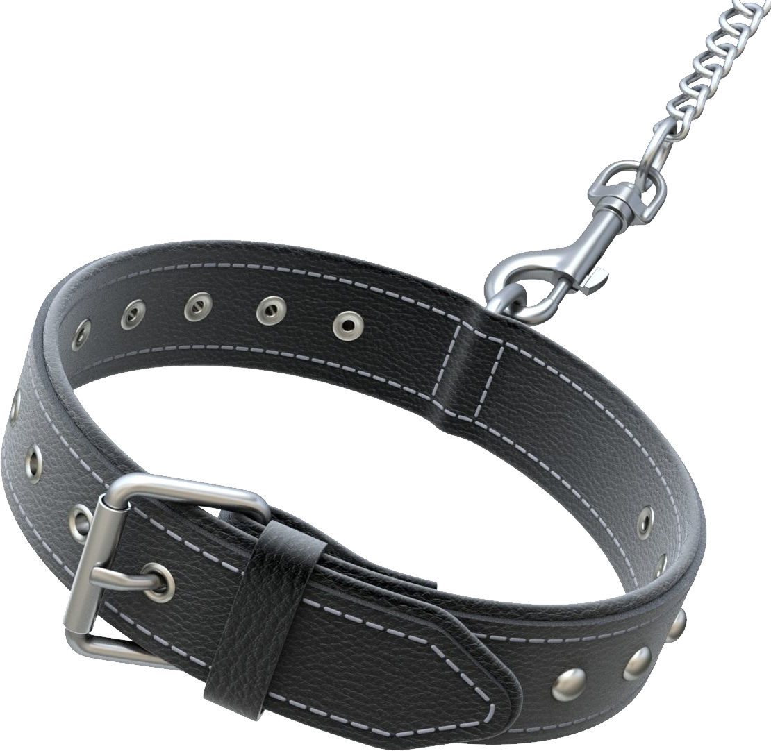 Detail Collar Transparent Nomer 16