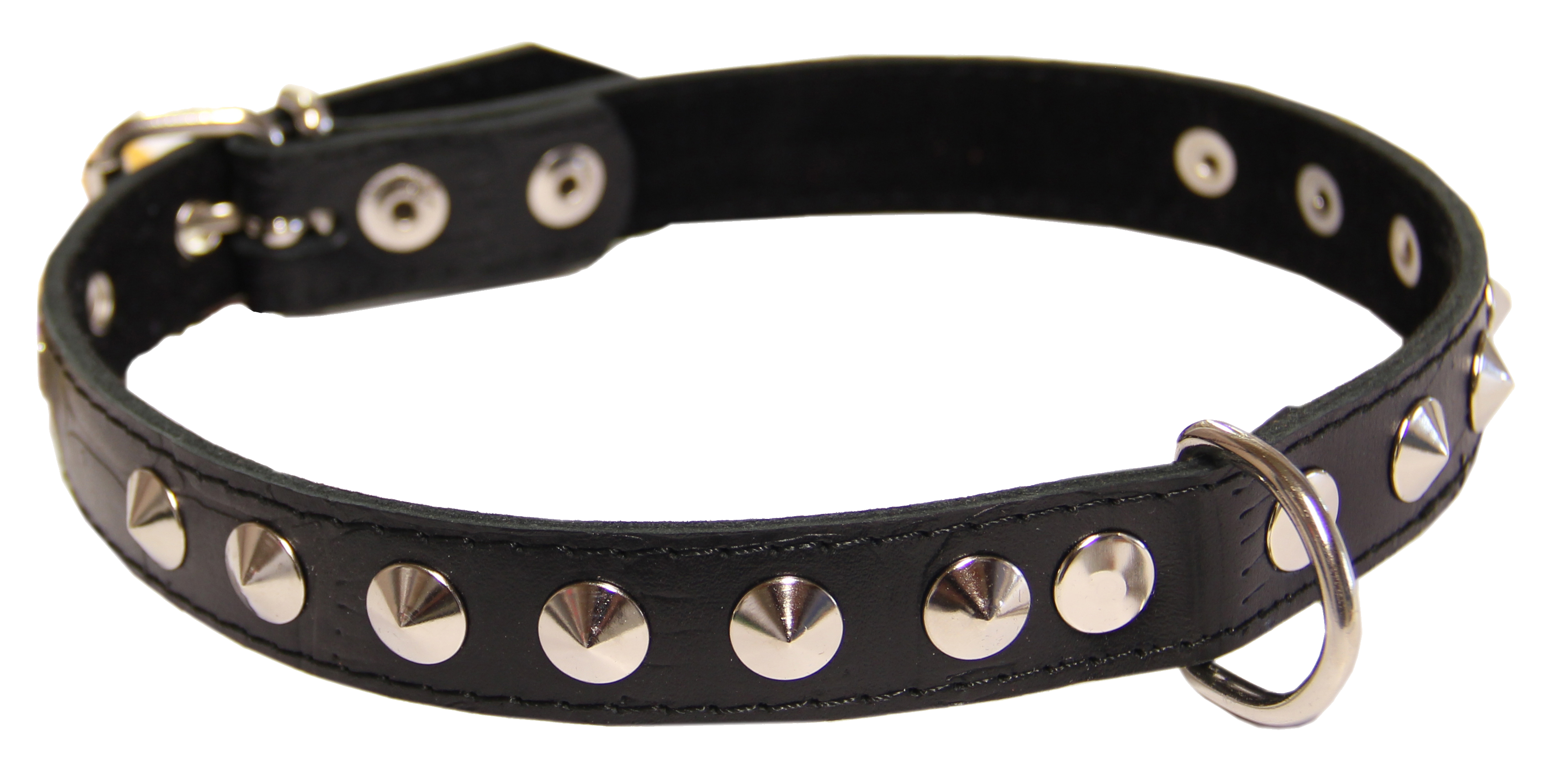 Detail Collar Transparent Nomer 17