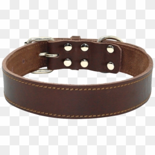 Detail Collar Transparent Nomer 18