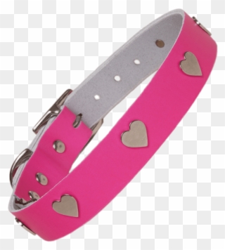 Detail Collar Transparent Nomer 25
