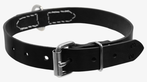 Detail Collar Transparent Nomer 3