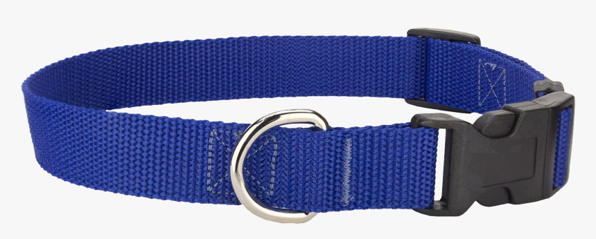Detail Collar Transparent Nomer 4