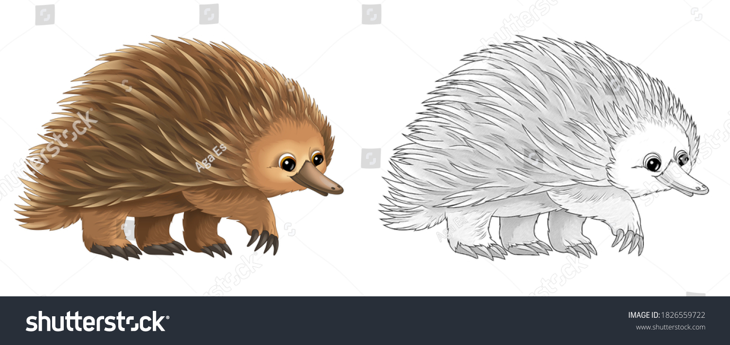 Detail Collective Noun For Hedgehogs Nomer 52