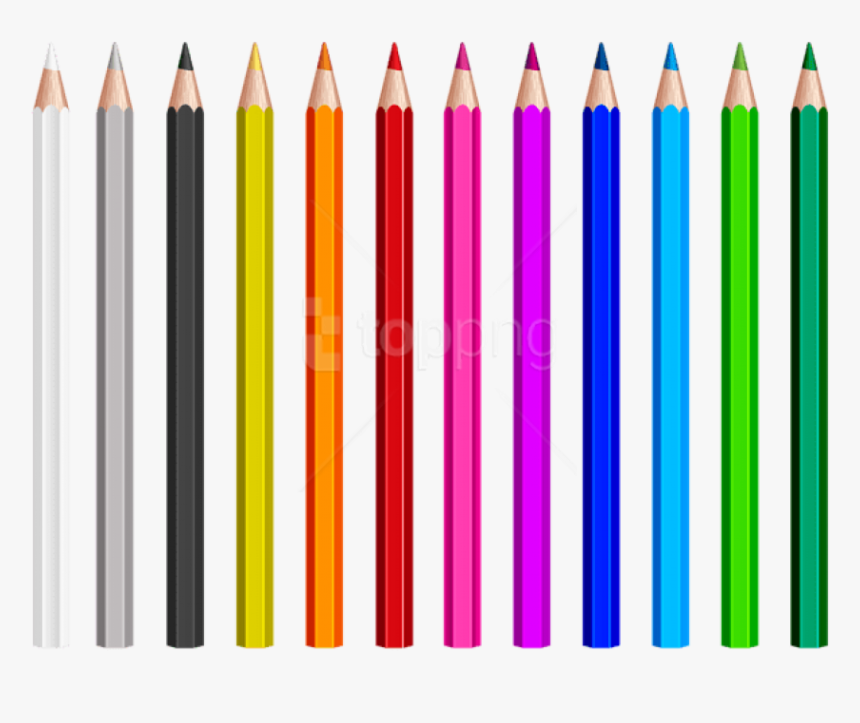 Detail Colored Pencil Png Nomer 44