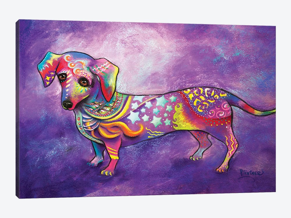 Detail Colorful Dachshund Painting Nomer 13