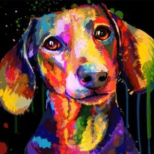 Detail Colorful Dachshund Painting Nomer 45