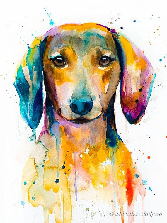 Detail Colorful Dachshund Painting Nomer 48