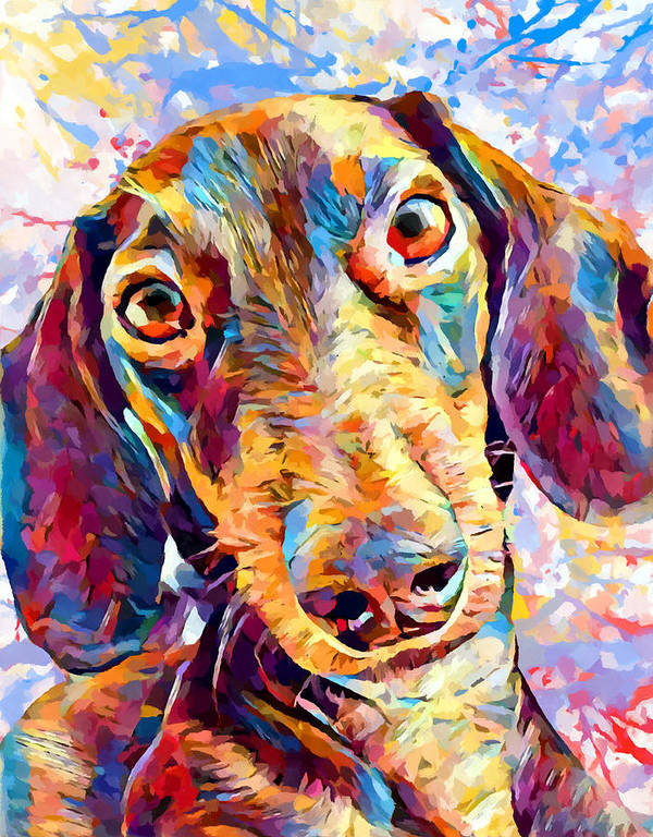 Detail Colorful Dachshund Painting Nomer 49