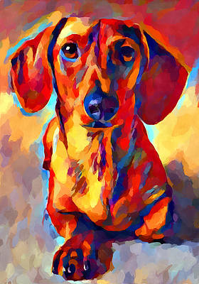 Detail Colorful Dachshund Painting Nomer 50