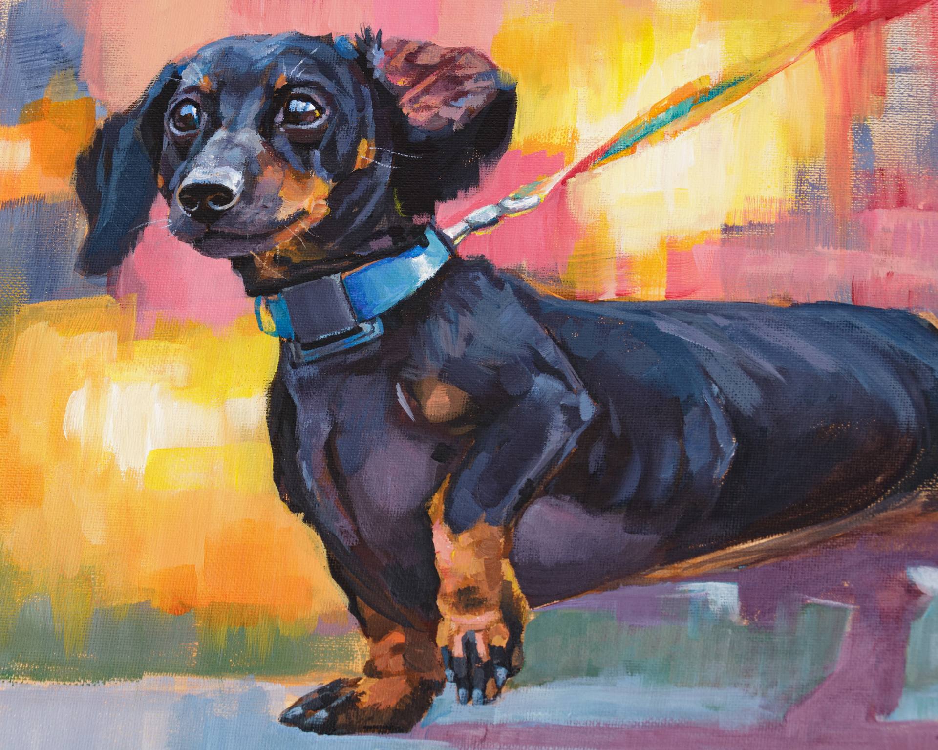 Detail Colorful Dachshund Painting Nomer 51