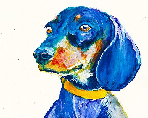 Detail Colorful Dachshund Painting Nomer 7