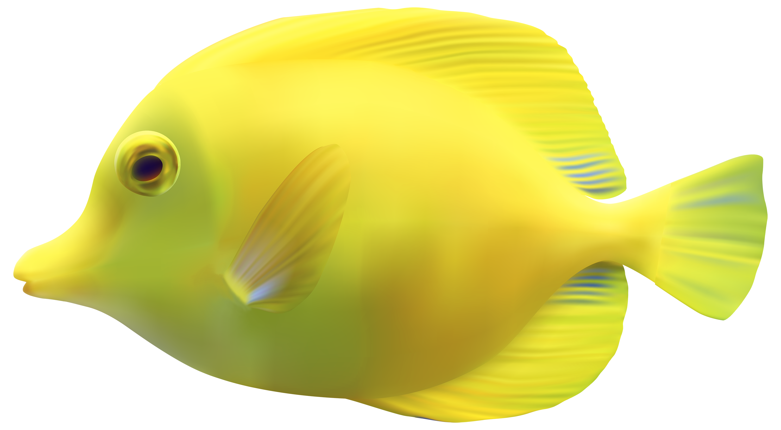 Detail Colorful Fish Png Nomer 16