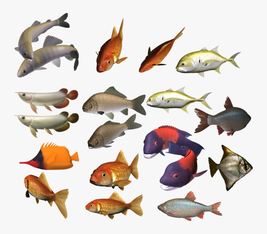 Detail Colorful Fish Png Nomer 20