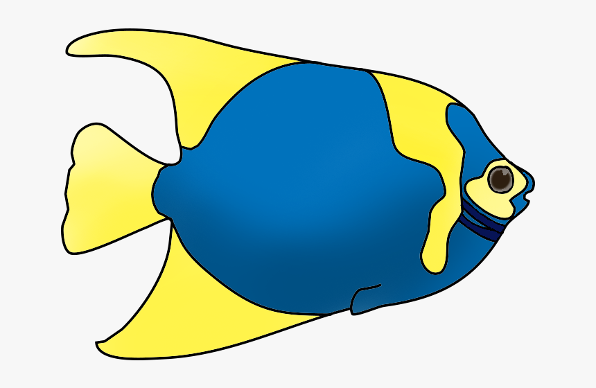 Detail Colorful Fish Png Nomer 26