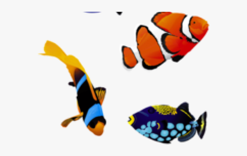 Detail Colorful Fish Png Nomer 5