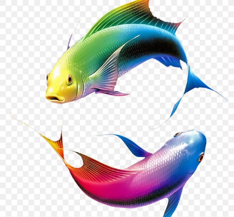 Detail Colorful Fish Png Nomer 49