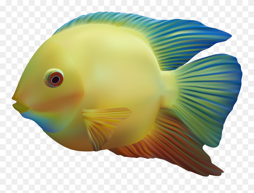 Detail Colorful Fish Png Nomer 9