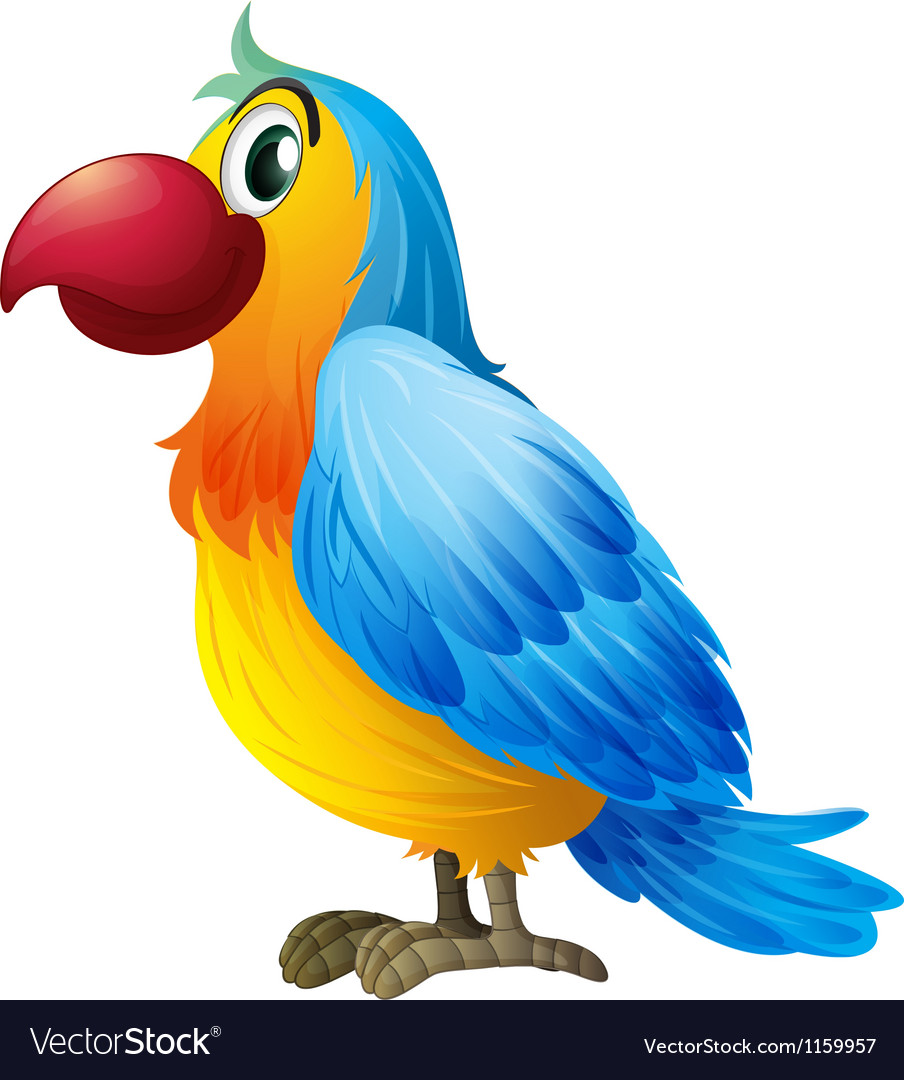 Detail Colorful Parrot Images Nomer 11