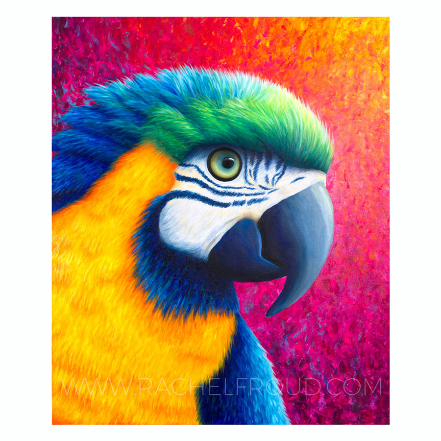 Detail Colorful Parrot Images Nomer 17