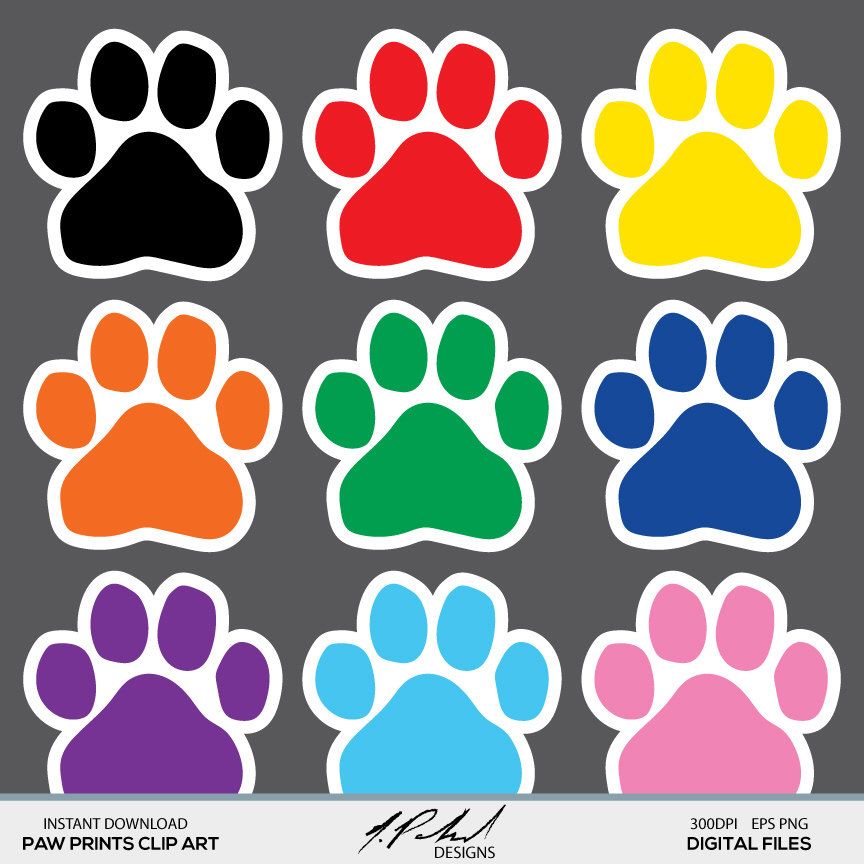 Detail Colorful Paw Print Clipart Nomer 31