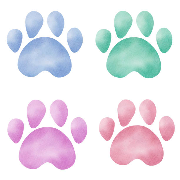 Detail Colorful Paw Print Clipart Nomer 34