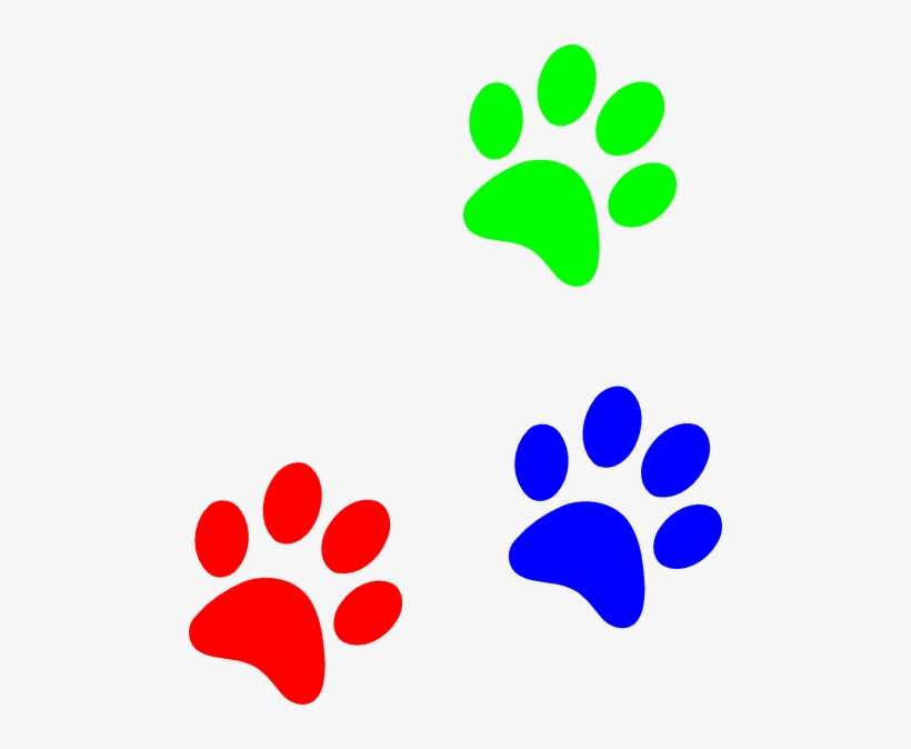 Detail Colorful Paw Print Clipart Nomer 6