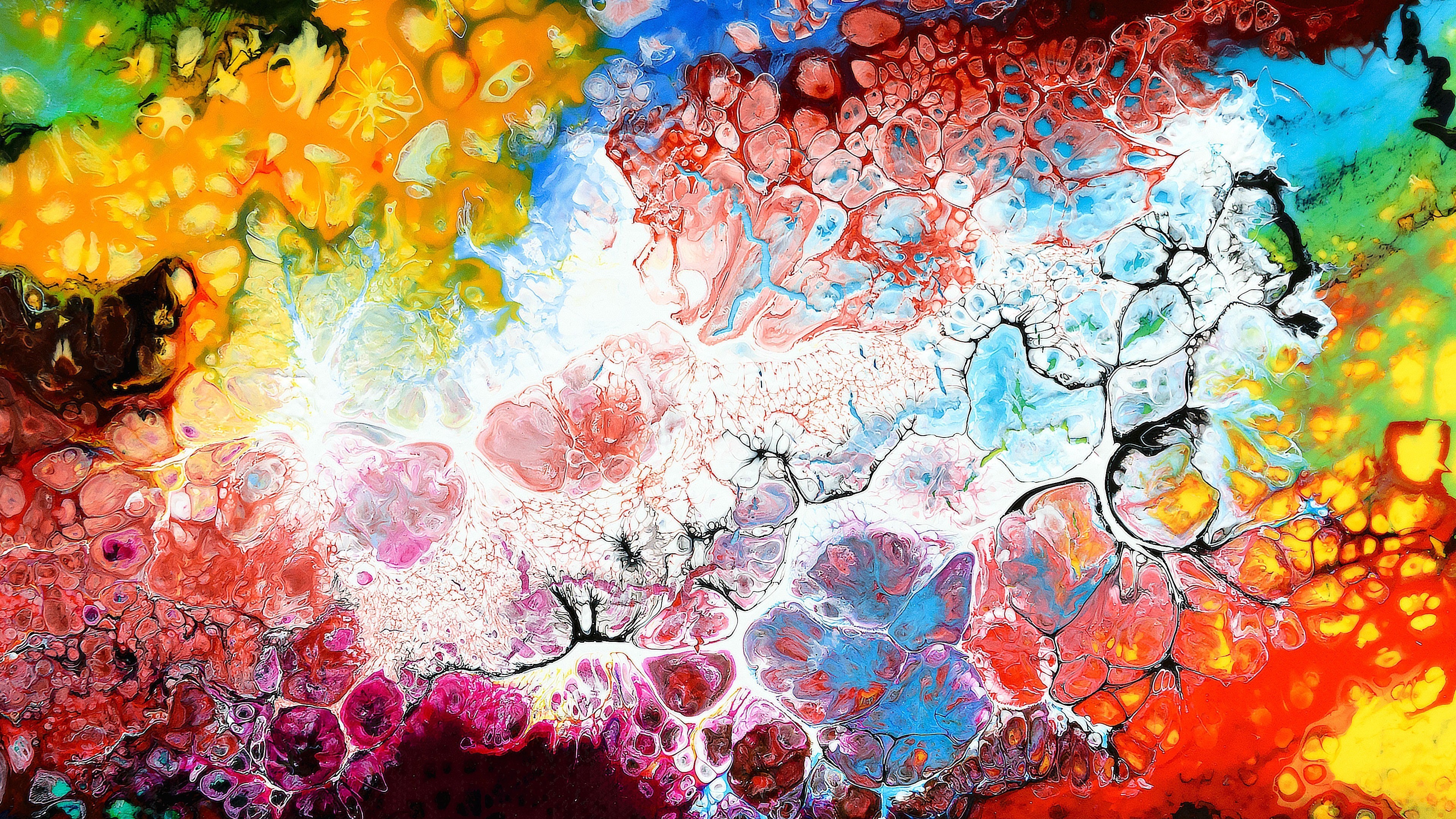 Detail Colorful Wallpaper 4k Nomer 57