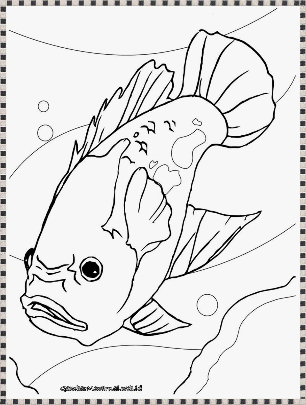 Detail Coloring Gambar Jala Ikan Nomer 9