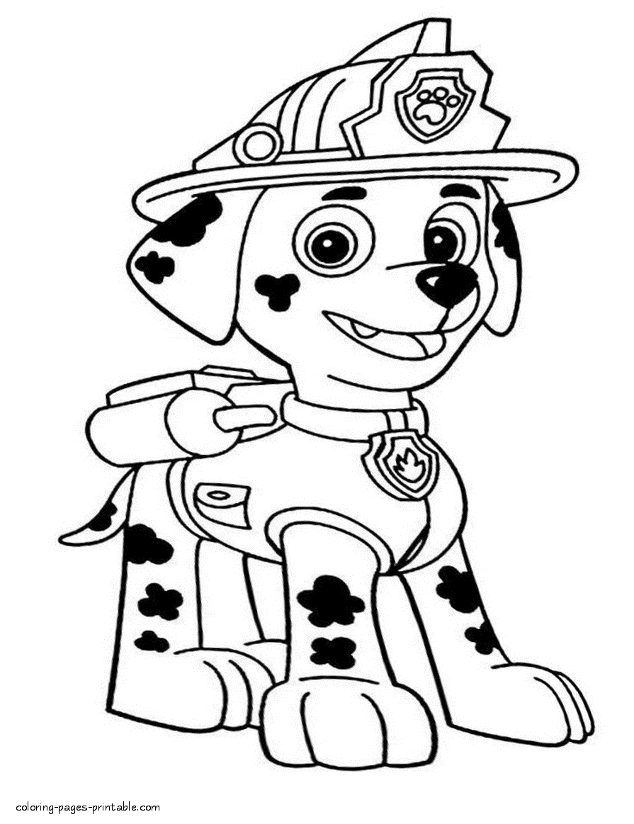 Detail Coloring Pages Paw Patrol Nomer 42