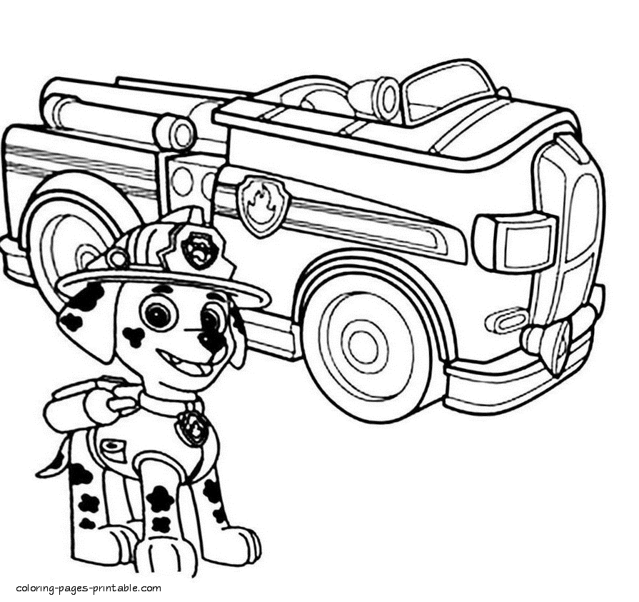 Detail Coloring Pages Paw Patrol Nomer 44