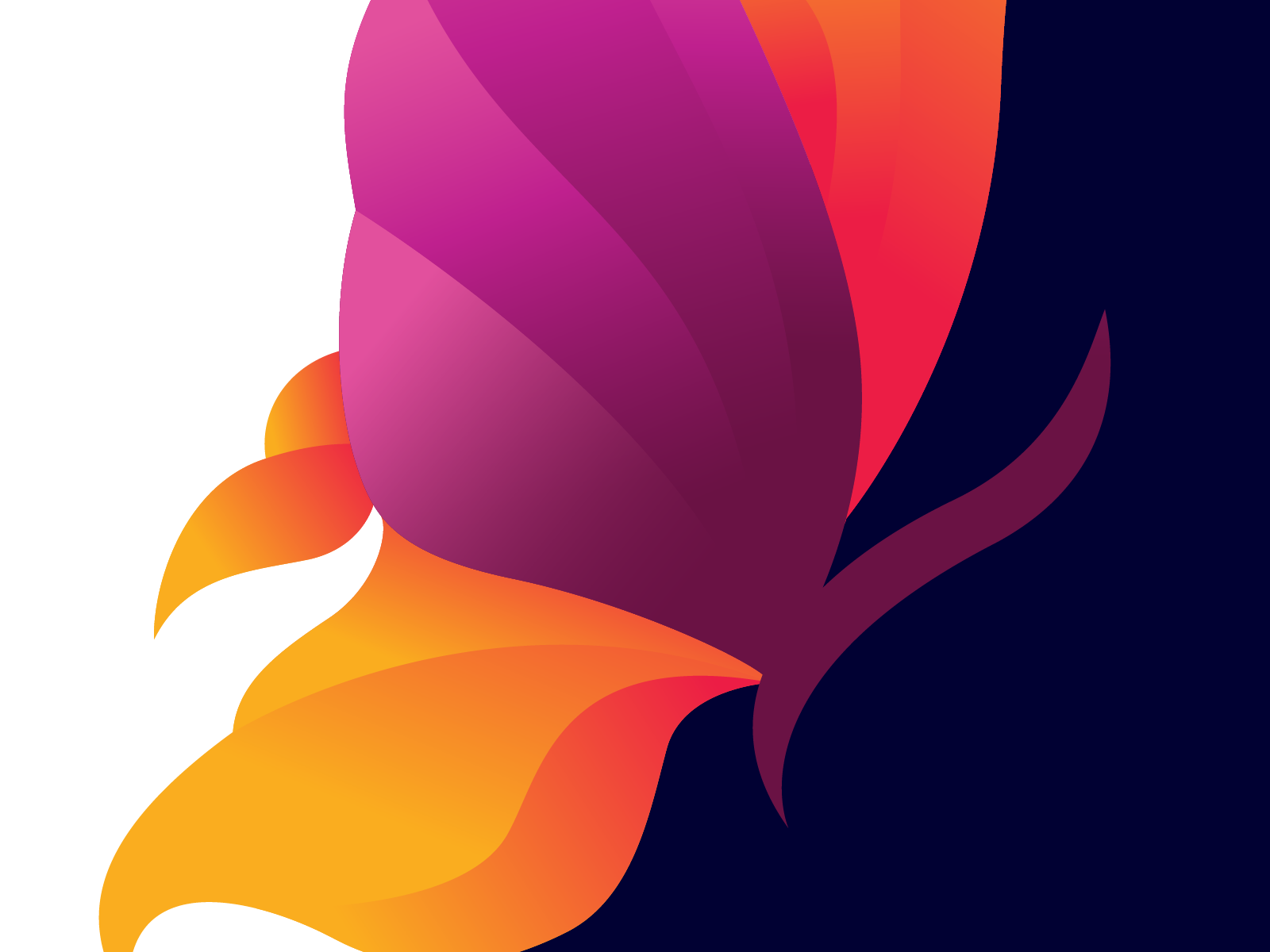Detail Colour Full Background Nomer 31