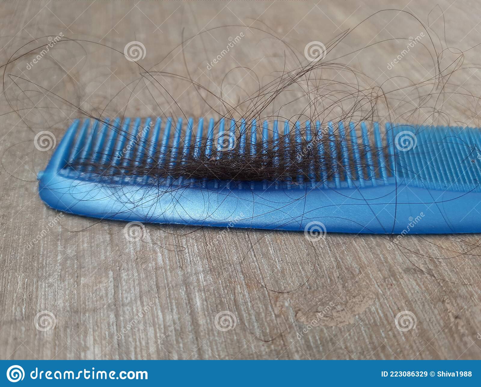 Detail Comb Shiv Nomer 41