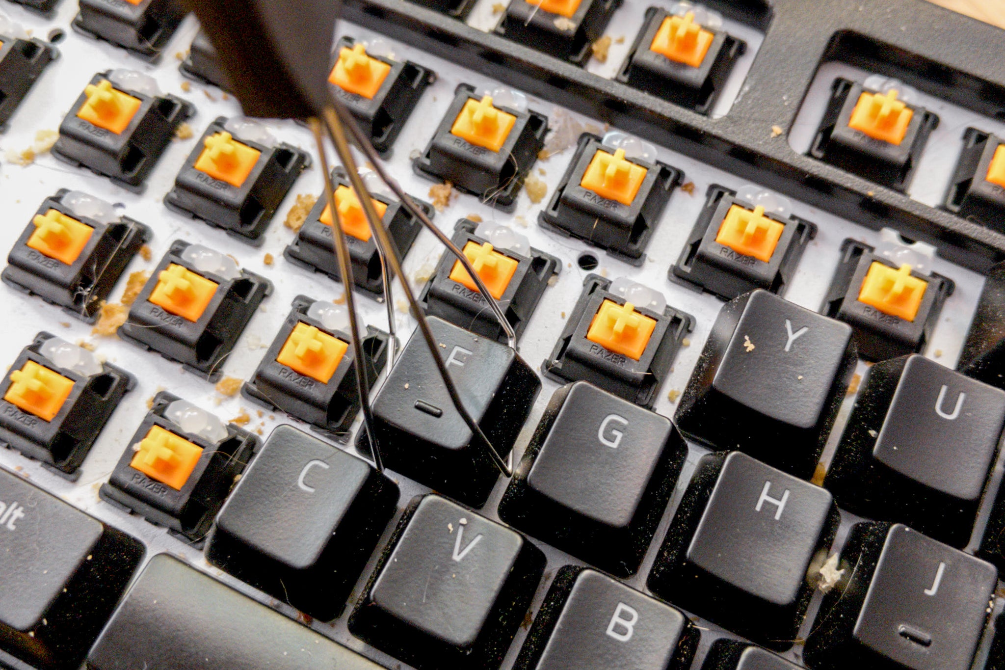 Detail Computer Keyboard Photo Nomer 48