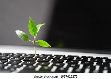 Detail Computing Images Free Nomer 51