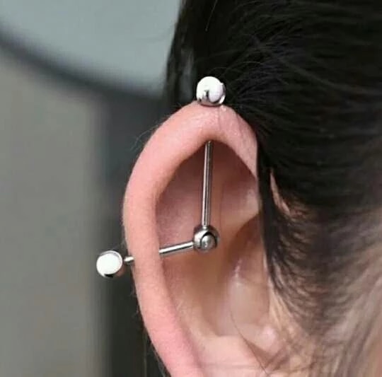 Detail Conch Barbell Nomer 31